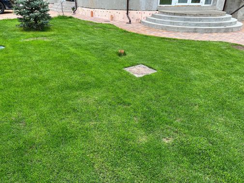 Люк под брусчатку Брус Ли Стальной, Съемная дверца 500*1200 Люк под брусчатку Брус Ли Стальной, Съемная дверца 500*1200